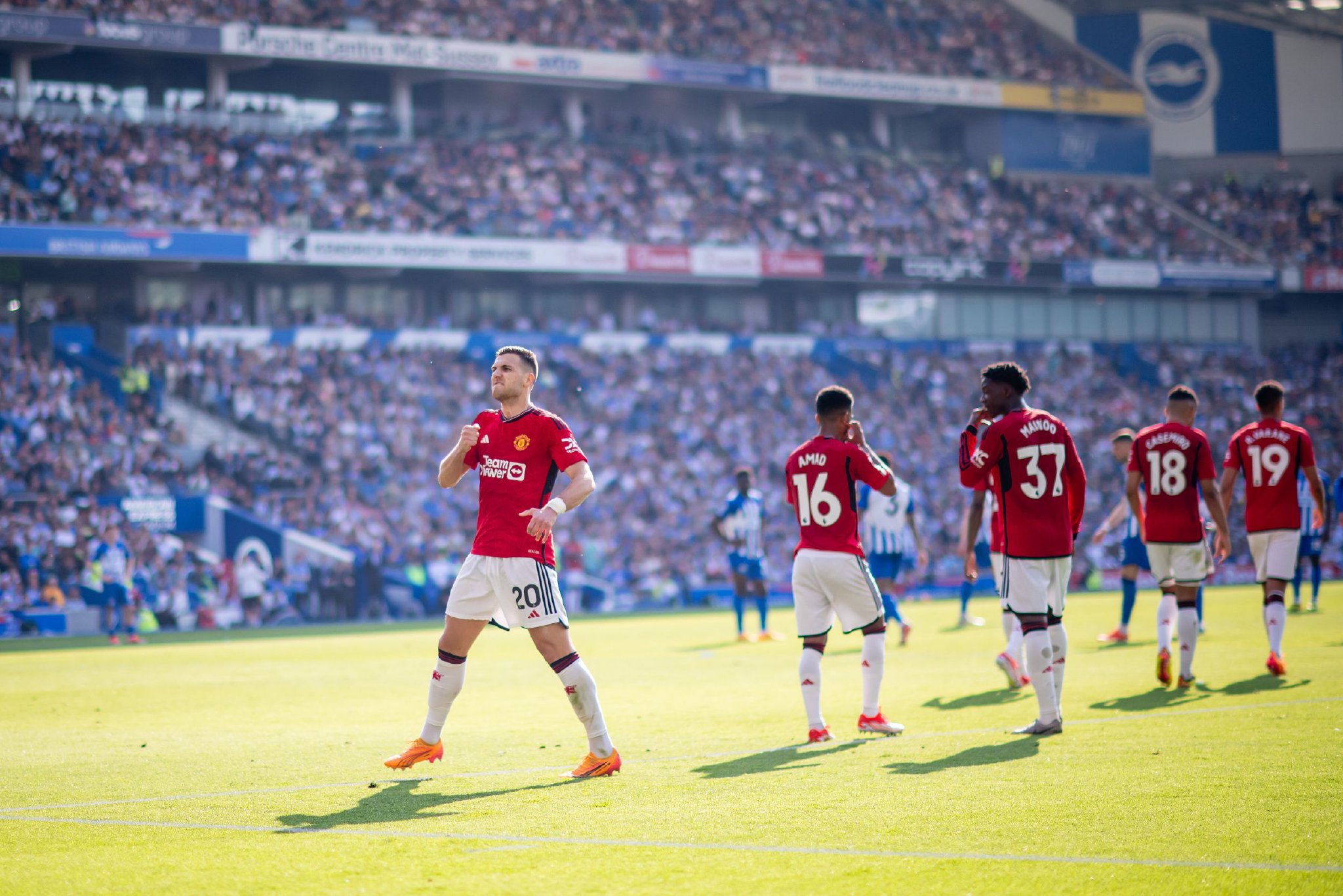 一款专门为 一款专门为